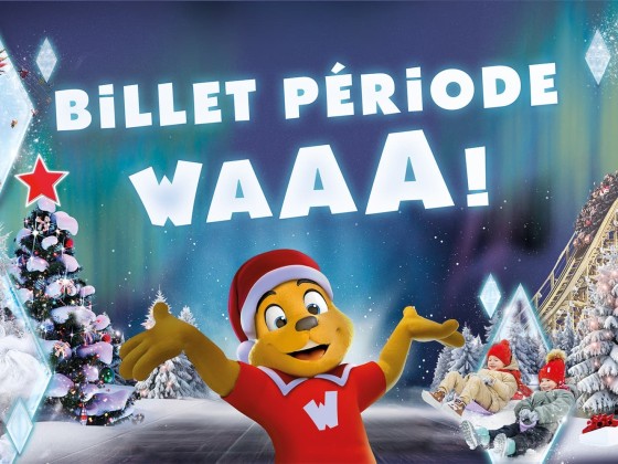 WALIBI PROMO NOEL ADULTE OU  ENFANT POUR UNE VISITE DU 20 DECEMBRE 25 AU 04 JANVIER 25
