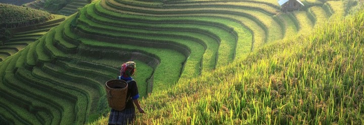 Destinations lointaines