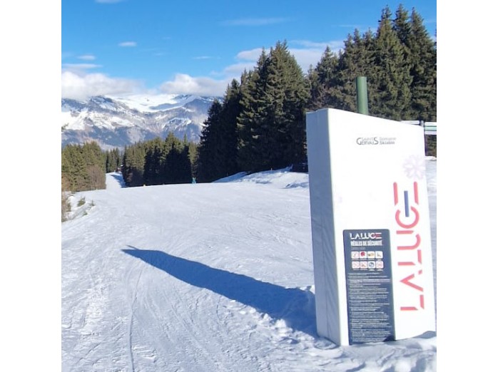 [Le hors-ski avec la Carte LOISIRS] Luge sur neige La Princesse à Demi-Quartier Megève